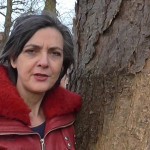 bomen project deel 1 Mogelijkheden zien bomen project deel 1 Mogelijkheden zien